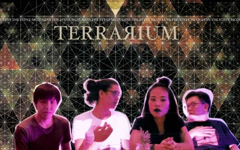 Terrarium by The Steve McQueens