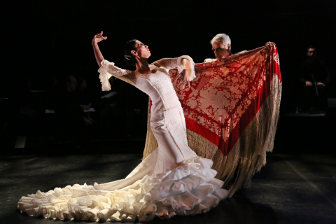 Flamenco Extravaganza, highlight of 5th Summer DanceFit Festival (2017)
