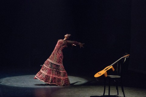 Roots of Flamenco