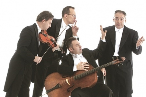 Mozart Madness: “Mozart Travels!”
