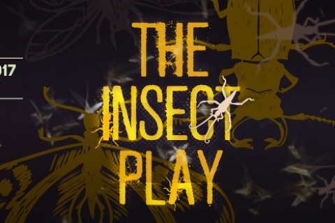 The Insect Play
