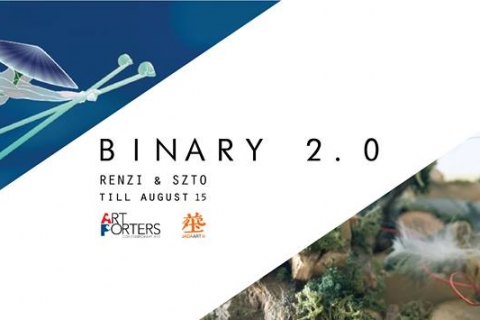 Exhibition: Binary 2.0