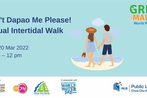 Green Market: Don't Dapao Me Please! Virtual Intertidal Walk