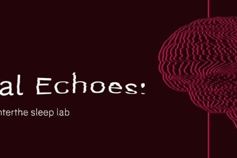 Neural Echoes: Enter The Sleep Lab