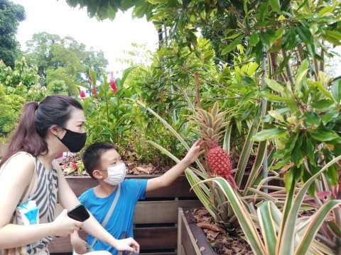 Sensory trail at Fort Canning Park