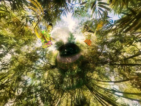 Kent Chan. Three Acts of the Sun