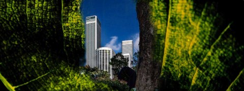 Singapore Urbanscape