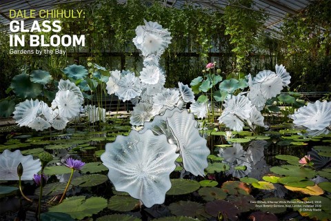 Dale Chihuly: Glass in Bloom