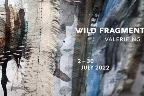 Wild Fragments