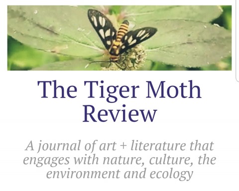 Call for submissions for Issue 3, The Tiger Moth Review