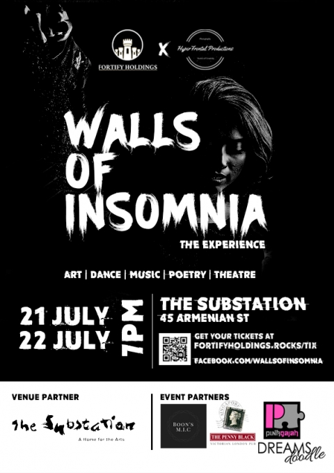 Walls of Insomnia: The Experience