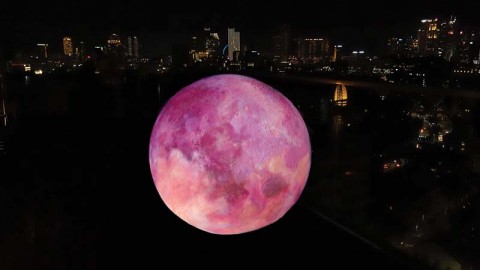 Strawberry Moon in 4 Acts 草莓月四幕