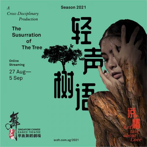 《轻声•树语》The Susurration of the Tree