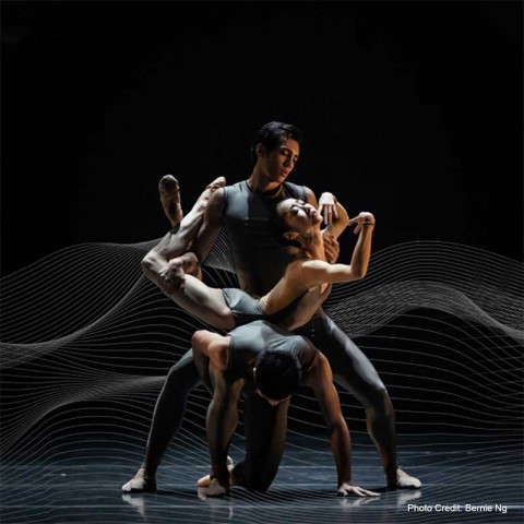 Evening Voices by Singapore Ballet