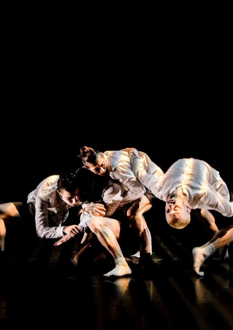 7th DanzINC International Dancers & Choreographers Residency Festival – Forte in Resonance III