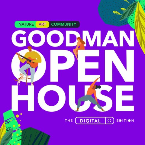 Explore and Experience Art in the first virtual edition of Goodman Open House 2021 