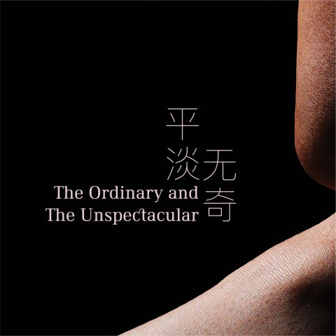 The Ordinary and The Unspectacular  平淡无奇