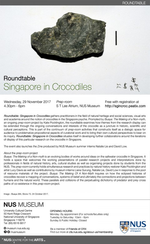 Roundtable: Singapore in Crocodiles