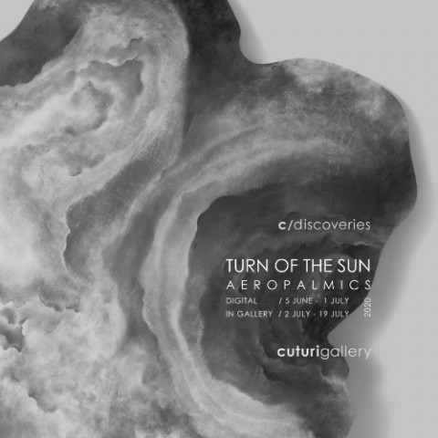 Aeropalmics: Turn of the Sun Solo Exhibition