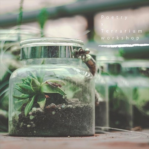We all step on snails: A Poetry & Terrarium Experience