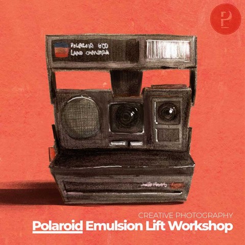 Polaroid Emulsion Lift Workshop