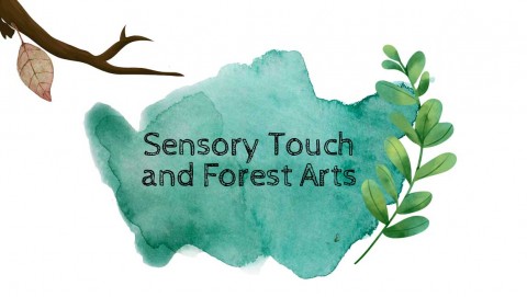 Sensory Touch and Forest Arts