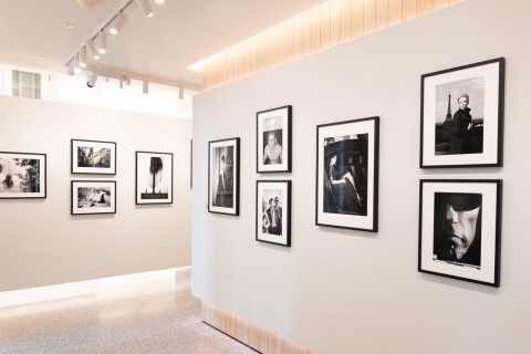 Emanuele Scorcelletti's Exhibition (18 February to 30 April 2025) - Elegia Fantastica