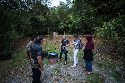 There is No Tiger in the Mountain