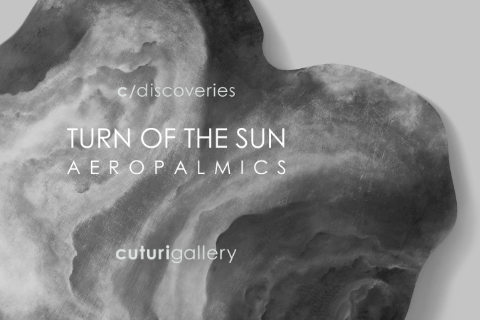 Aeropalmics: Turn of the Sun Solo Exhibition