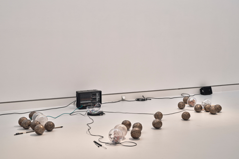 TAF Conversation Series: Roger Nelson on Sriwhana Spong