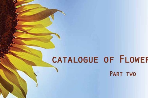 Catalogue of Flowers - Part Two