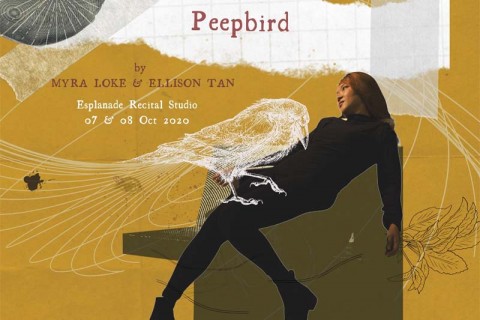 Peepbird