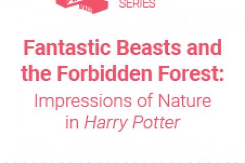  The Art Space Programme Series – Fantastic Beasts and the Forbidden Forest