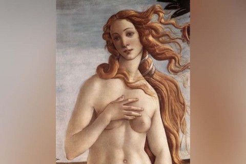 The History of the Nude in Art
