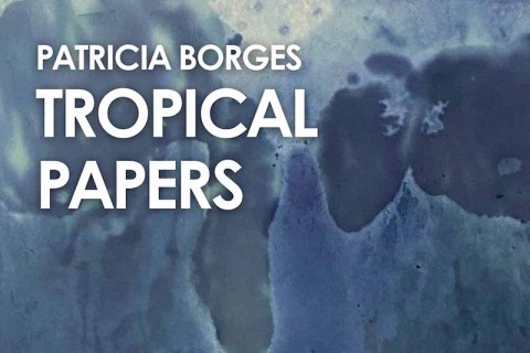 Patricia Borges: Tropical Papers
