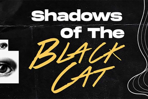 Shadows Of The Black Cat