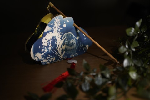 Cyanotype Lantern Making Workshop