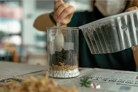 Build your own little portable forest 