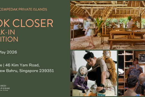 Look Closer - A Festival of Nature, Art & Craft