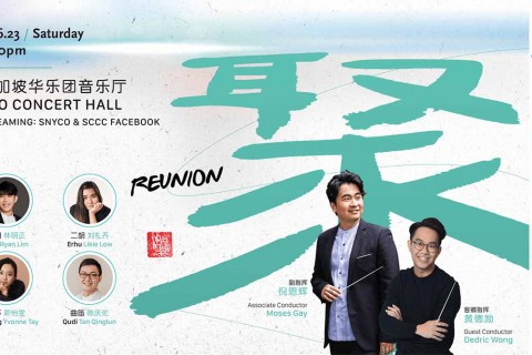 SNYCO20: Reunion (Cultural Extravaganza 2023)
