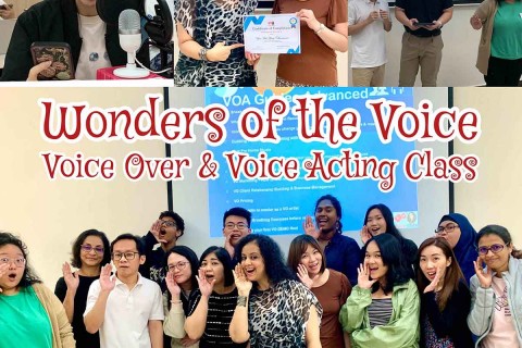 Wonders of the Voice - Beginner's Guide