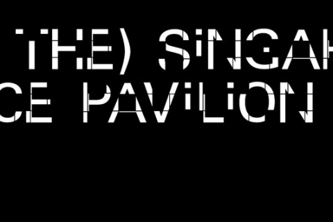 (Not The) Singapore Venice Pavilion Case Competition