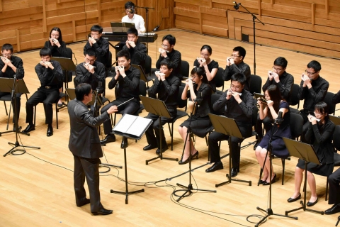 Vivace XVII