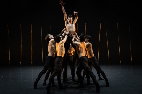 One @ the Ballet 