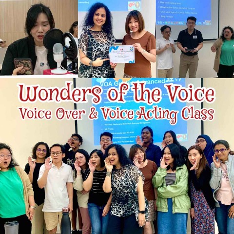 Wonders of the Voice - Beginner's Guide