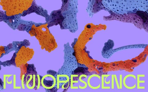 FL(U)ORESCENCE​