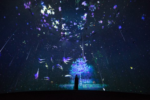 National Museum of Singapore's 137th Anniversary Celebrations and Final Curtain: Story of the Forest