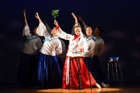 Community Arts Extravaganza, highlight of 5th Summer DanceFit Festival (2017)