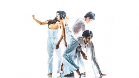 7th DanzINC International Dancers & Choreographers Residency Festival – I Am Sorry