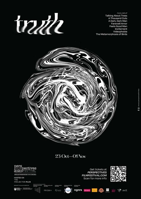 Perspectives Film Festival 2020: Truth
